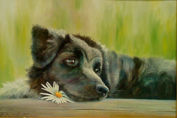 Собаки в современной живописи