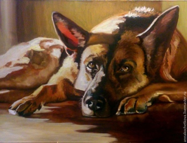 Собаки в живописи