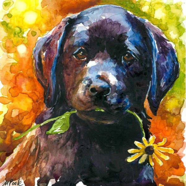 Лабрадор гуашью