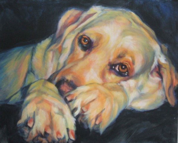 Лабрадор маслом