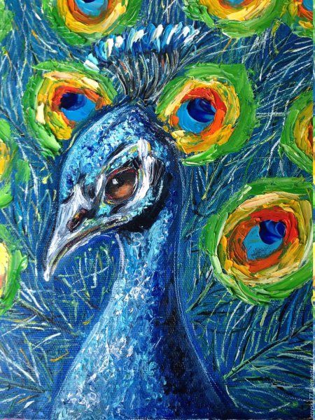 Павлин jivopis