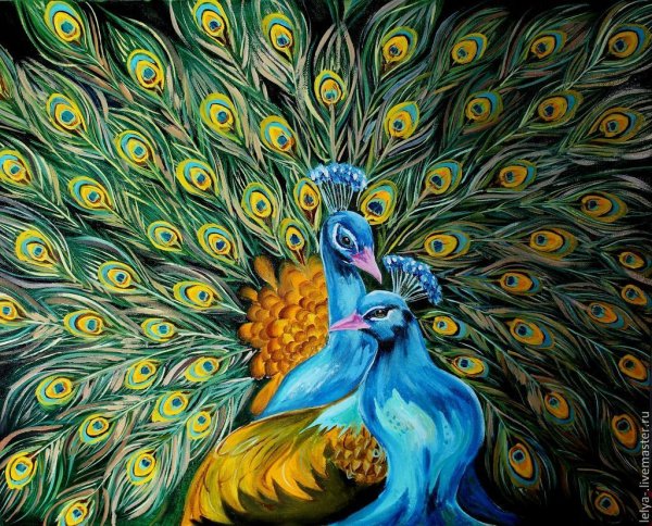Павлин живопись