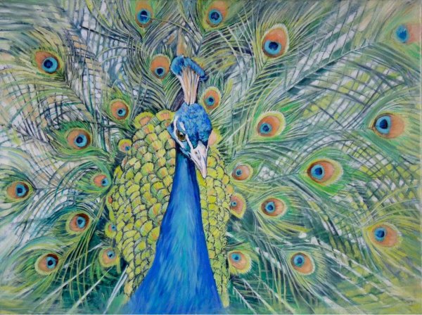 Сграффито Павлин