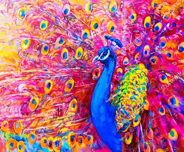 Рисование по номерам Павлин