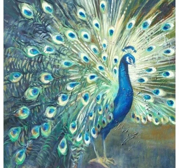 Картина Павлин