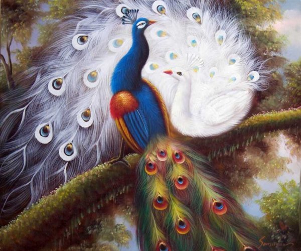 Лобачкова-Блоцкая Павлин