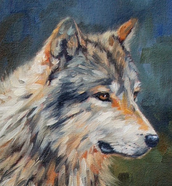 Сергей Куцко волки