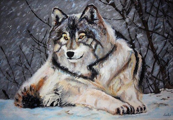 Волк гуашью