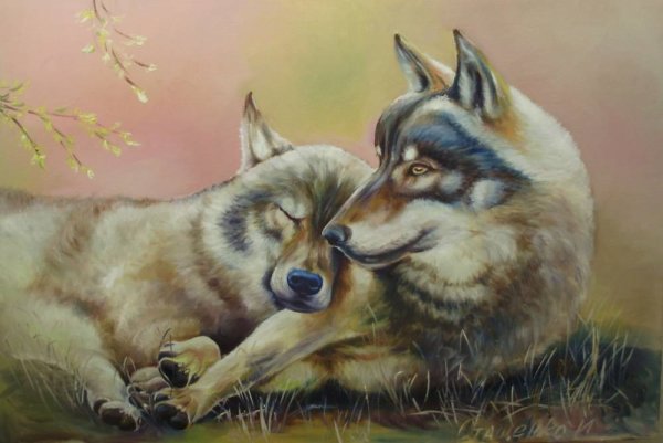 Картина два волка