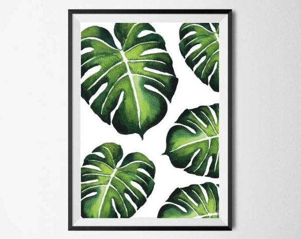 Монстера акрилом