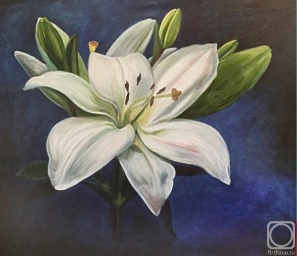 Лилия Хайрутдинова художница