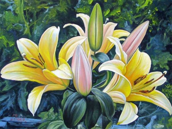 Лилия Orangerie