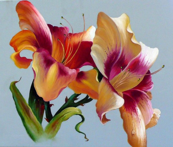 Лилия Гарри Дженкинс картины