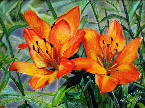Лилия маслом