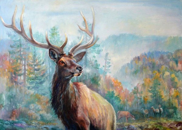 Санькин Марал