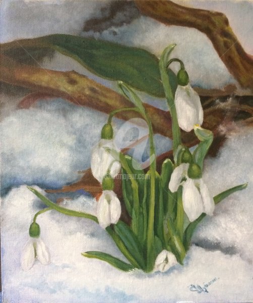 Курундаков подснежники