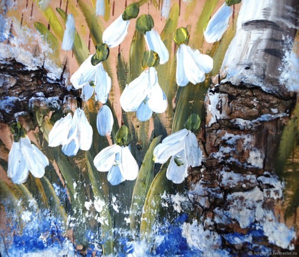 Терра Фьорри подснежники