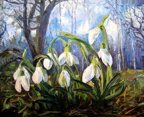 Курундаков подснежники