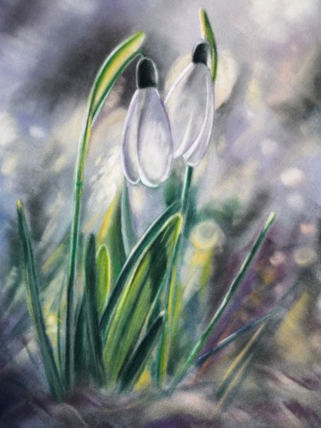 Подснежники пастелью