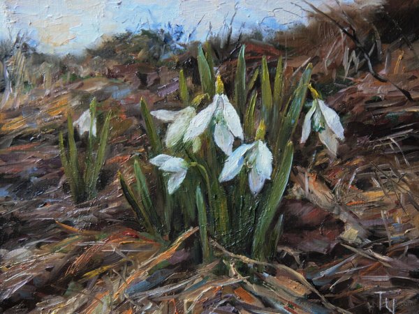 Еськов Павел подснежники