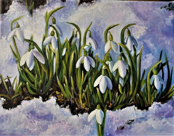 Терра Фьорри подснежники