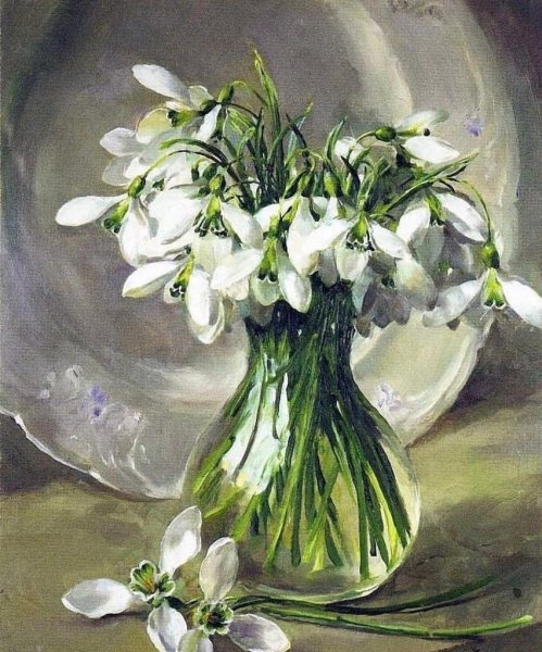 Цветы Anne Cotterill