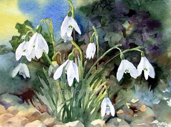 Еськов подснежники