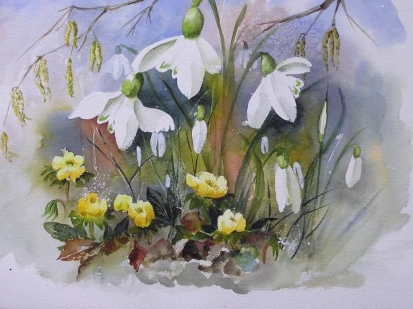Подснежники акварель Манухов