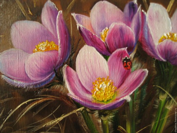 Крокусы Елена Тенер