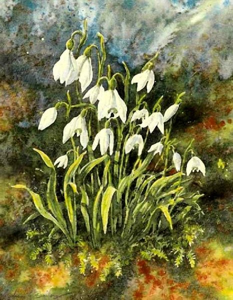 Подснежники Импрессионисты