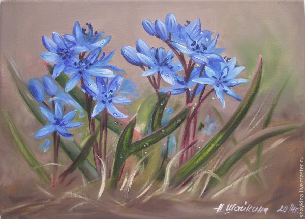 Пролеска-Сцилла живопись