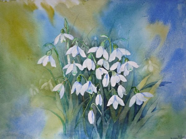 Подснежники акварель Манухов