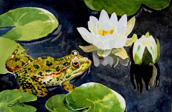 Лягушка гуашью