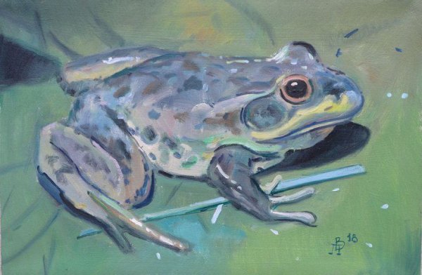 Лягушка маслом