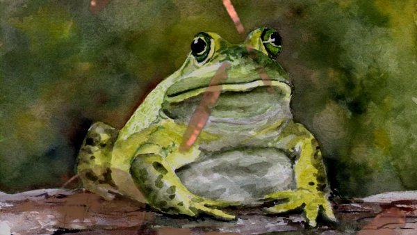 Жаба маслом