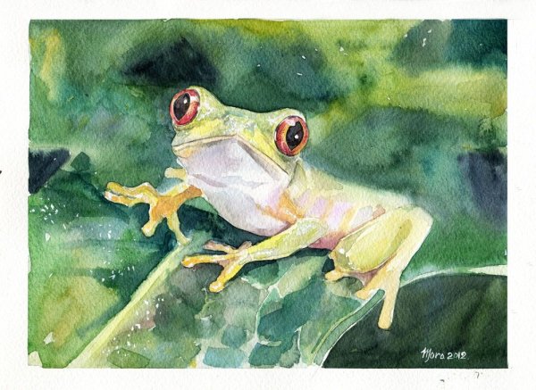 Лягушка акварелью