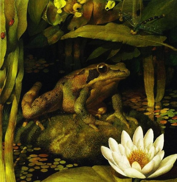 Принцесса лягушка Спирин Геннадий