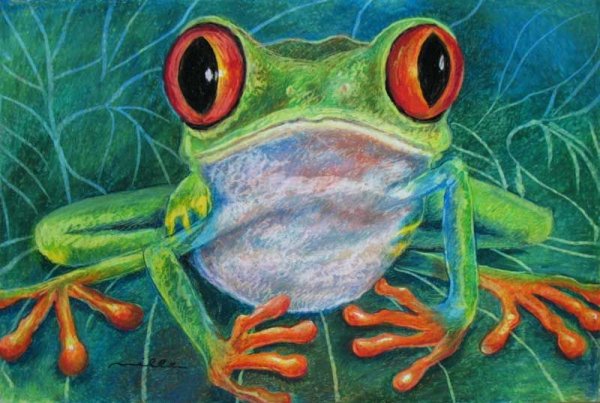 Жаба пастель