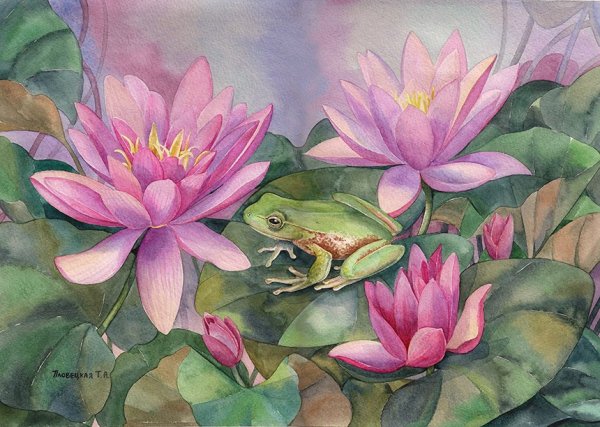 Лотос и лягушка в Японии