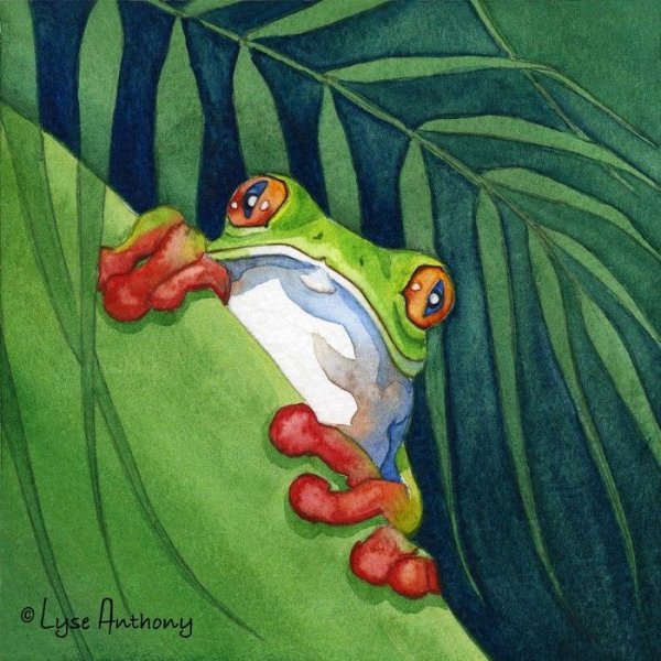 Лягушка гуашью