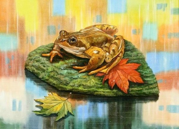 Лягушка художник