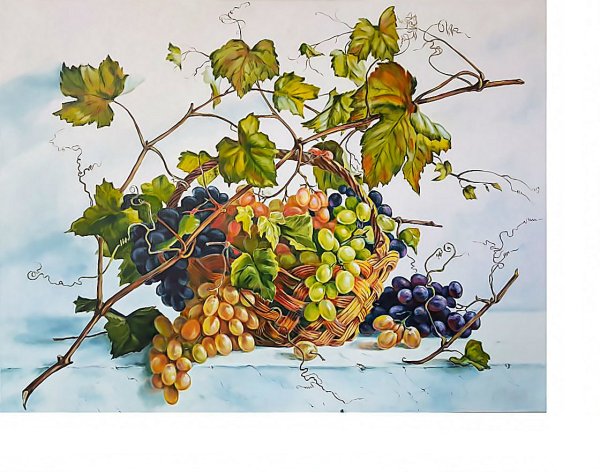 Натюрморт виноград Федор толстой