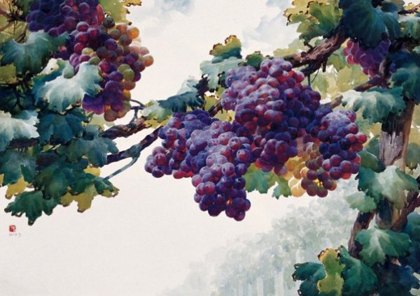 Сеидов Александр художник виноград