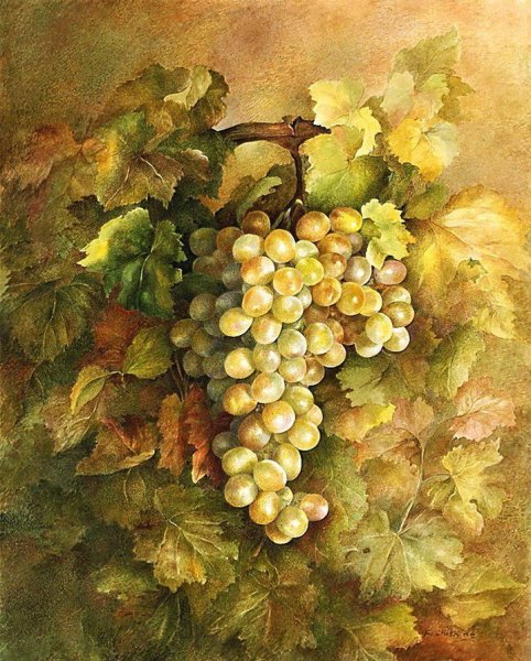 Fereshte Shishine художник