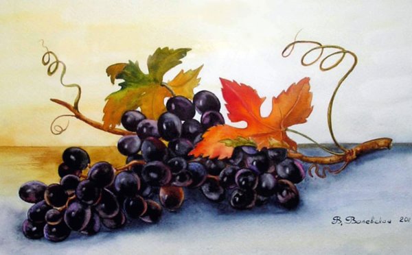 Сеидов Александр художник виноград