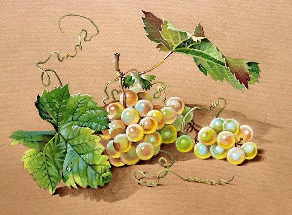 Федор толстой виноград