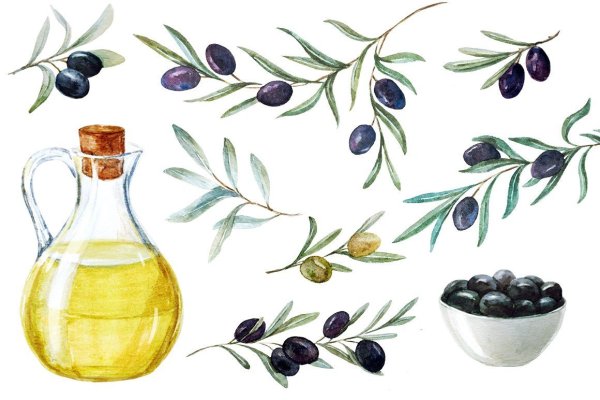 Оливки иллюстрация