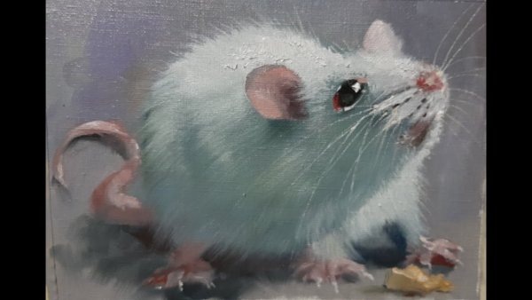 Живопись белые крысы
