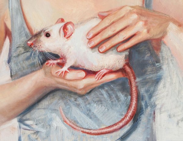 Крыса акварелью
