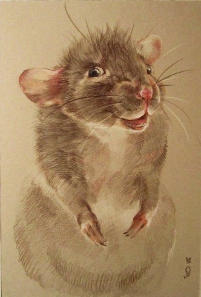 Художник Бочарова Ольга